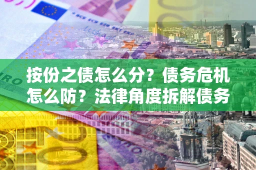 武汉按份之债怎么分？债务危机怎么防？法律角度拆解债务分配与风险自保指南