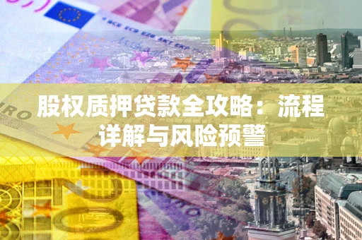 武汉股权质押贷款全攻略：流程详解与风险预警