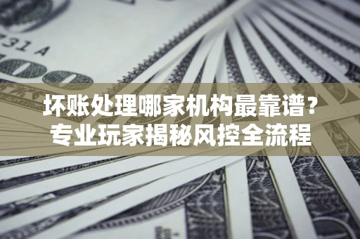 武汉坏账处理哪家机构最靠谱？专业玩家揭秘风控全流程