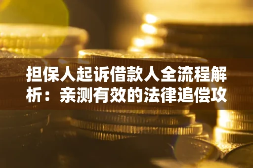 武汉担保人起诉借款人全流程解析：亲测有效的法律追偿攻略