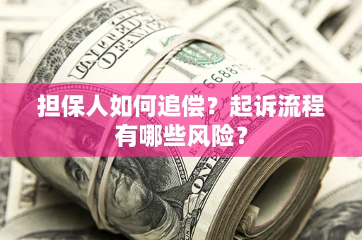 武汉担保人如何追偿？起诉流程有哪些风险？