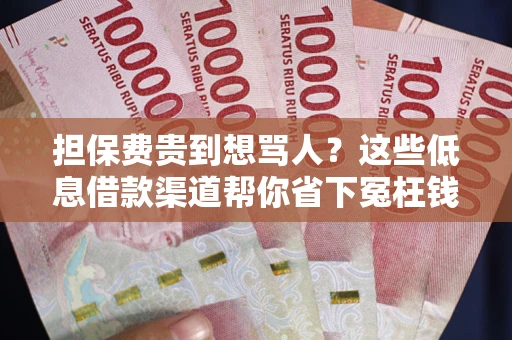武汉担保费贵到想骂人？这些低息借款渠道帮你省下冤枉钱