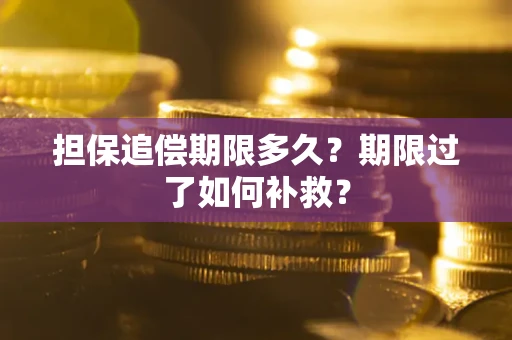 武汉担保追偿期限多久？期限过了如何补救？