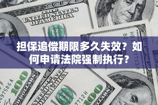 武汉担保追偿期限多久失效？如何申请法院强制执行？
