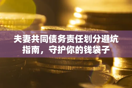 武汉夫妻共同债务责任划分避坑指南，守护你的钱袋子