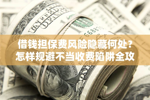 武汉借钱担保费风险隐藏何处？怎样规避不当收费陷阱全攻略！