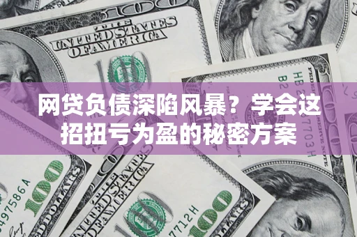 武汉网贷负债深陷风暴？学会这招扭亏为盈的秘密方案