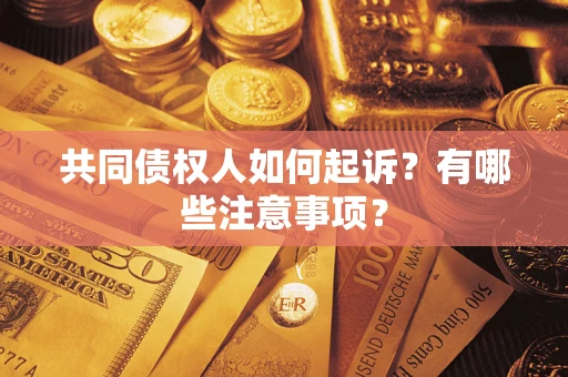 武汉共同债权人如何起诉？有哪些注意事项？